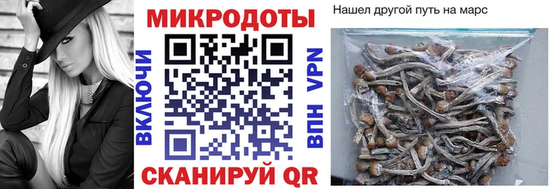 Купить  Солнечногорск  Галлюциногенные грибы GOLDEN TEACHER 